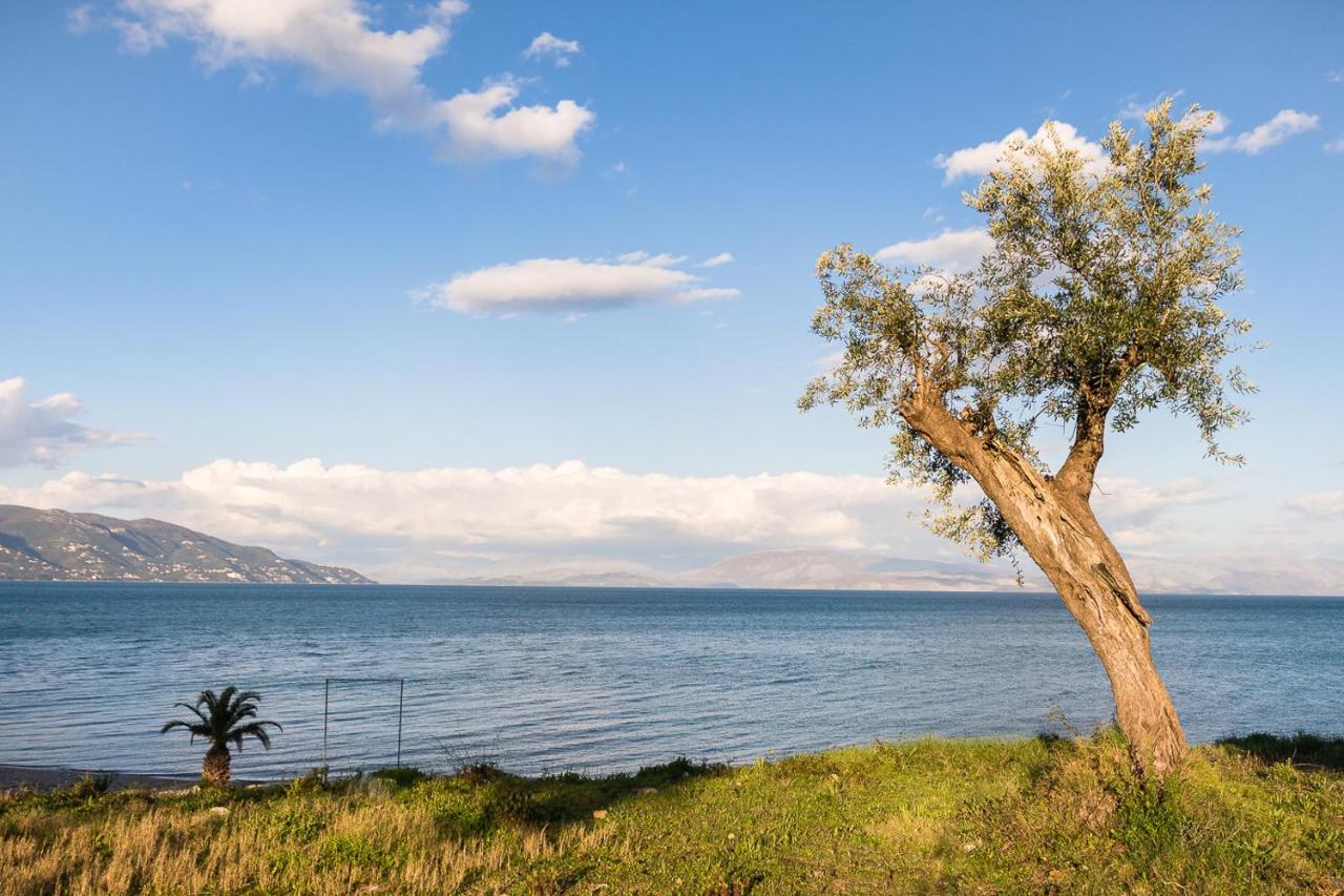 Merlyn Rooms Into The Nature, 100M From The Beach Dafnila Екстериор снимка